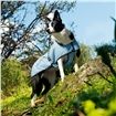 Hurtta Cooling Coat for Dogs 60cm - Blue