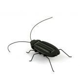 Solar Power Energy Cockroach Fun Gadget Office School