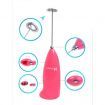 LUD Electric Handle Coffee Milk Egg Beater
