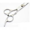 Professional Stainless Steel Hair Cutting Flat Scissors