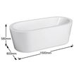 Acrylic Free Standing Oval Bathtub