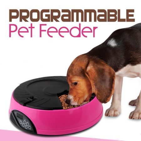 6 Compartment Programmable Pet Feeder with Recordable Message and Built-In Microphone