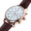 SPEATAK Men's Fashion Stainless Steel PU Leather Wrist Watch - Brown + Golden + White