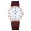 BESTDON BD98104G Men's Fashionable Waterproof Quartz Wrist Watch ?C Gold + Brown + White