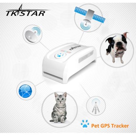Mini Persona GPS Tracker TK909 Waterproof Long Standby Time For PET Dog Cat