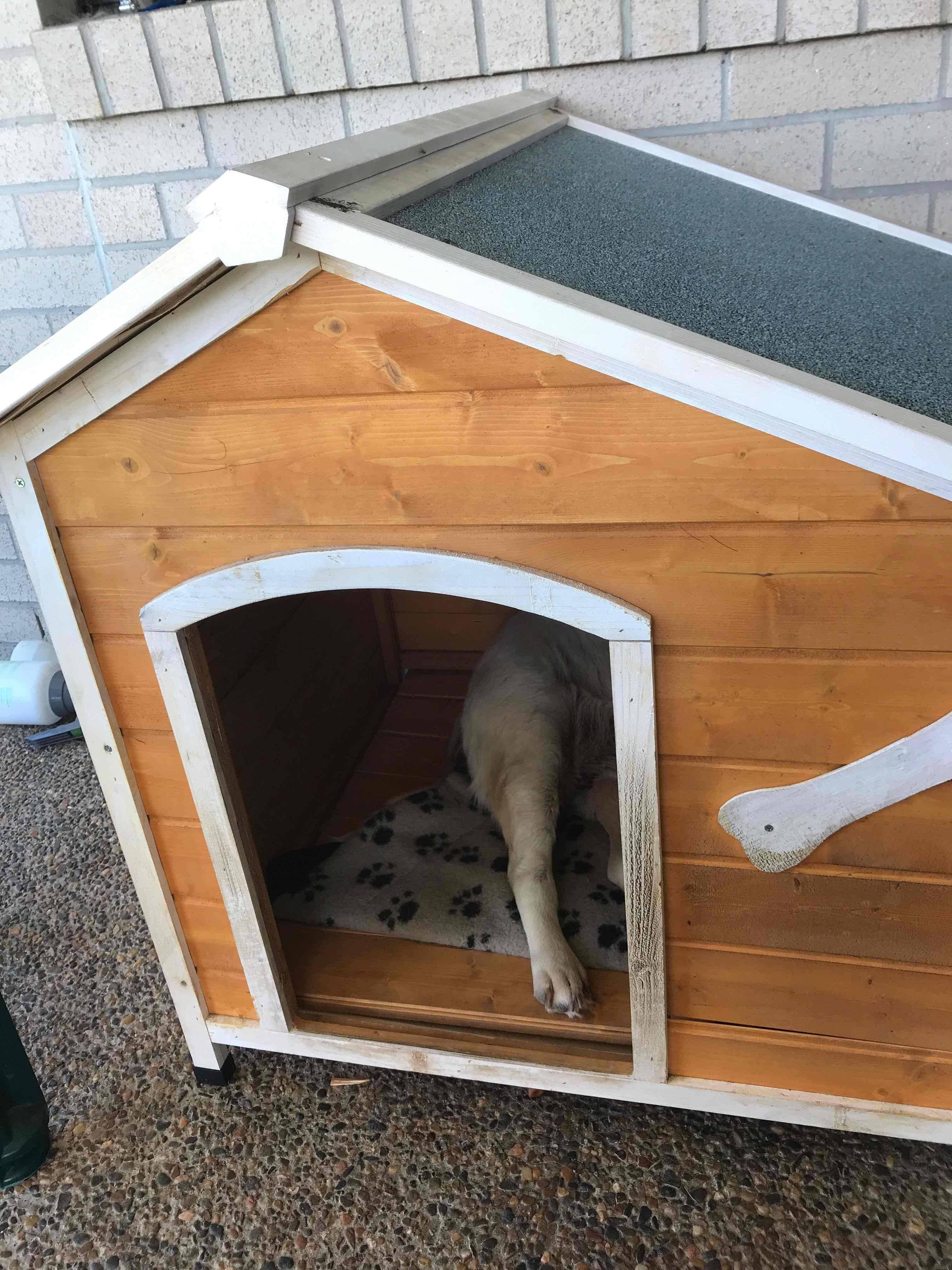 XL Wooden Dog House with Flip Open Hinged Roof and Side Window Crazy Sales