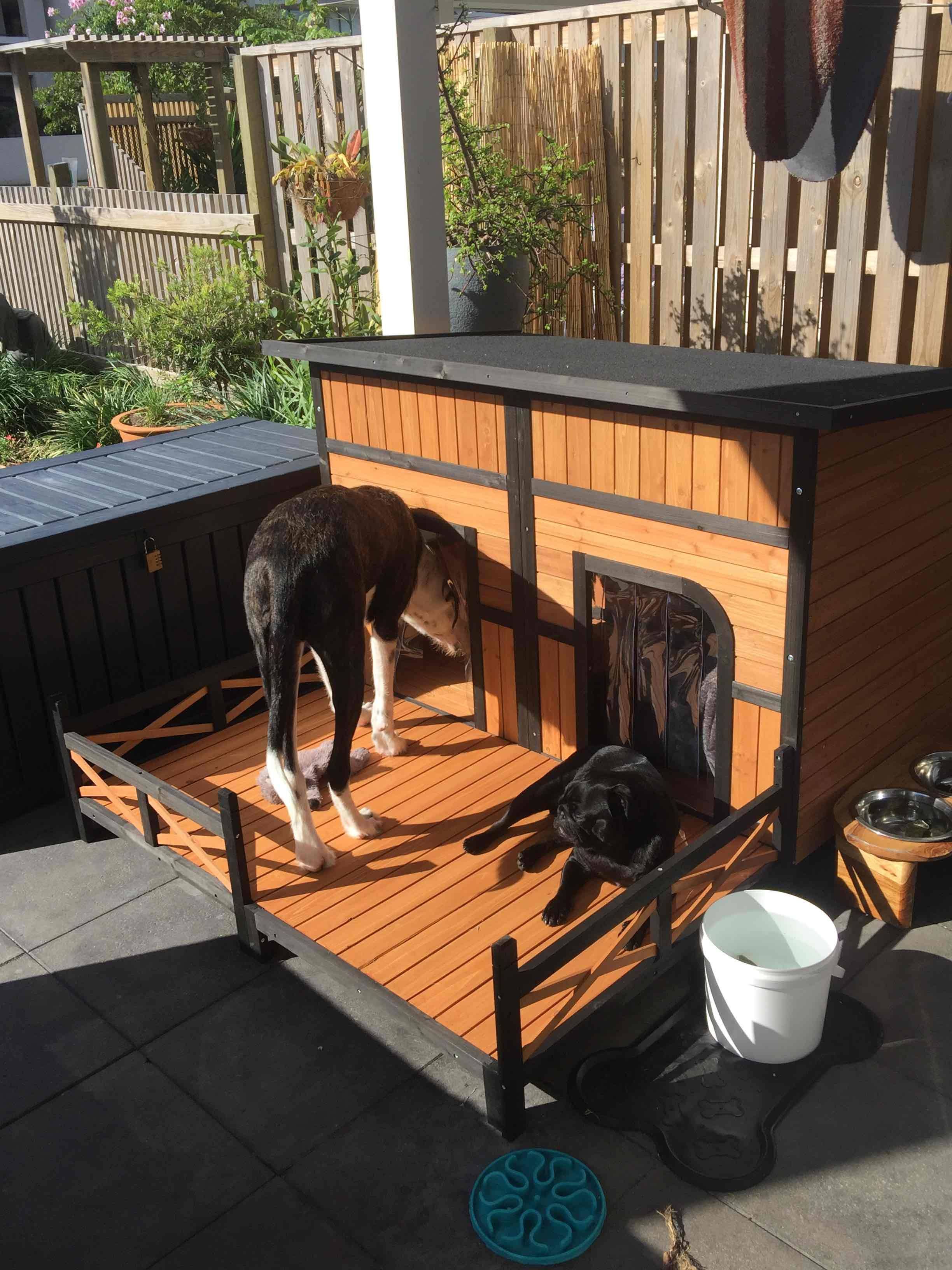 XXL Wooden Dog Kennel 2 Door AllWeather Flat Roof Pet House w/Patio