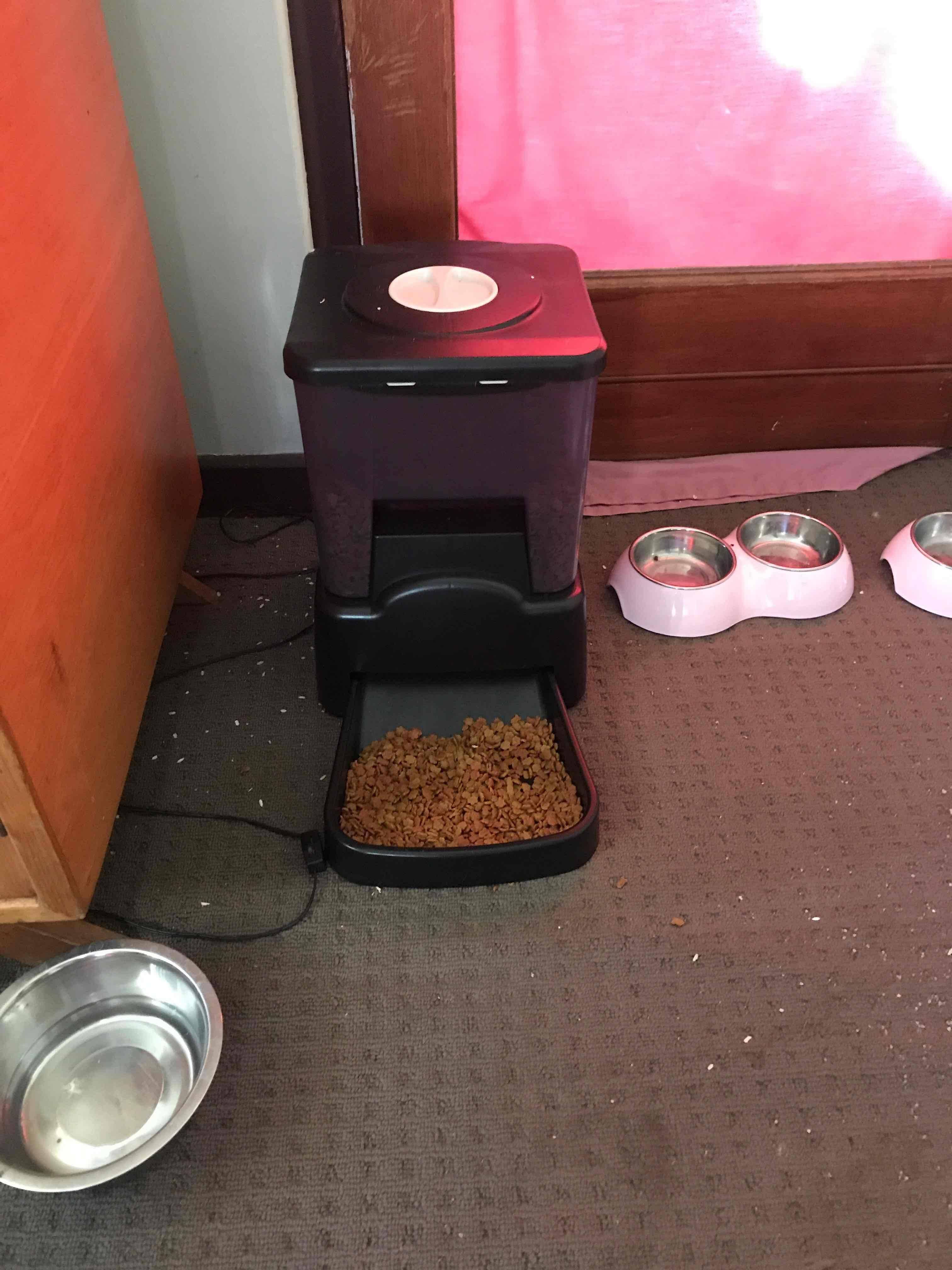 View of Automatic Pet Feeder with Recordable Message and Built-In Microphone ...