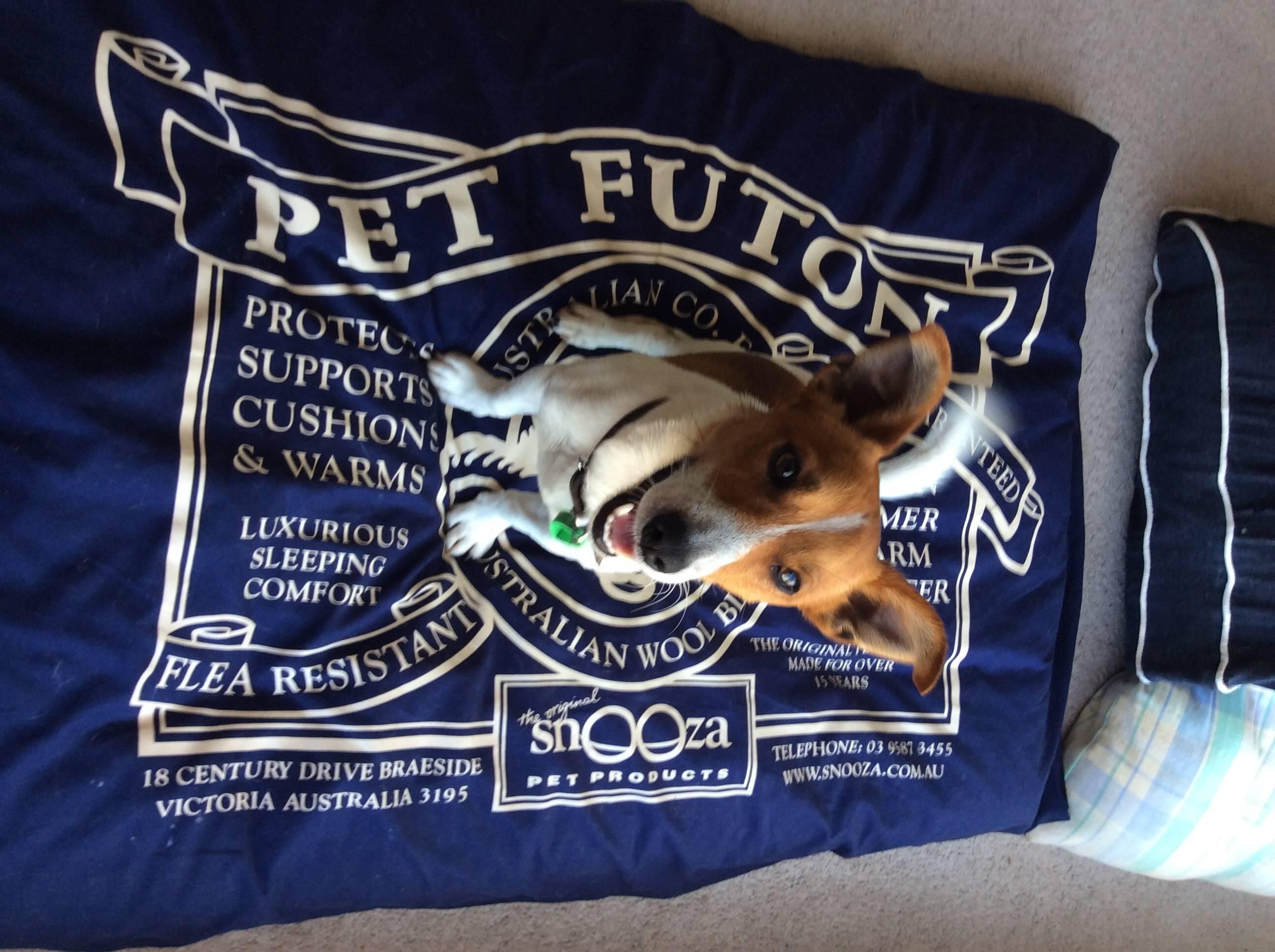 Snooza Pet Futon Dog Bed Mighty / Blue Crazy Sales